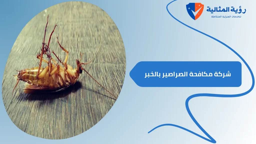 شركة مكافحة الصراصير بالخبر