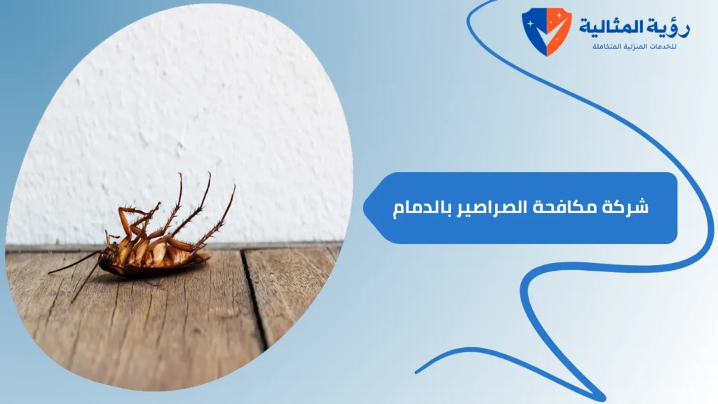 شركة مكافحة الصراصير بالدمام