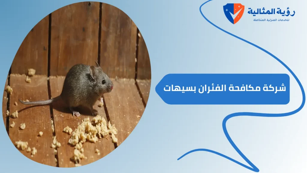 شركة مكافحة الفئران بسيهات