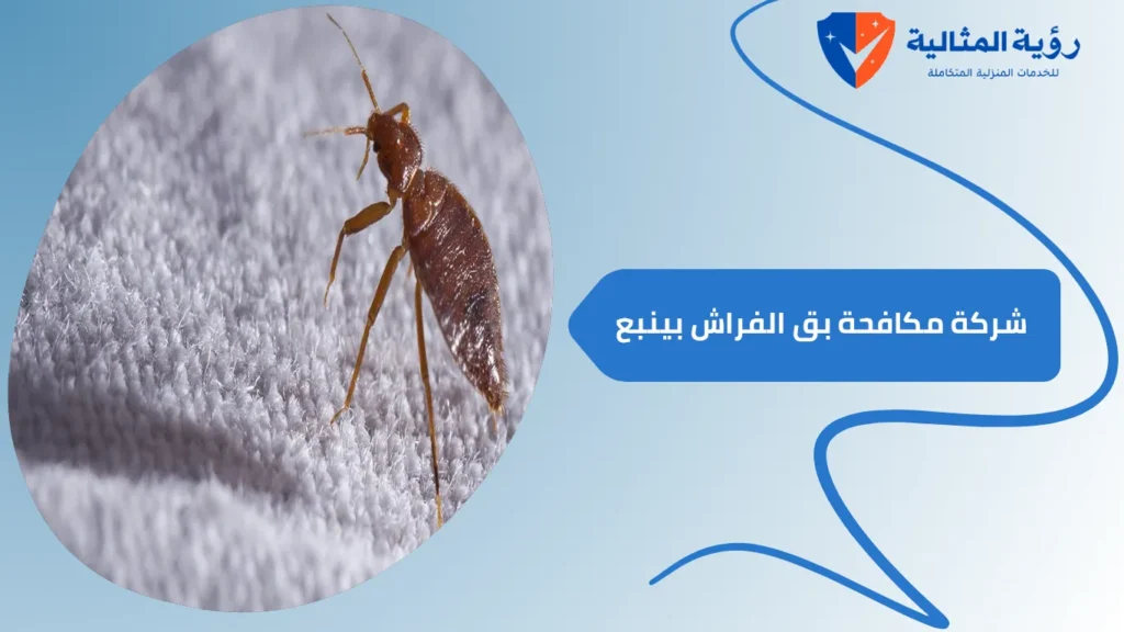 شركة مكافحة بق الفراش بينبع